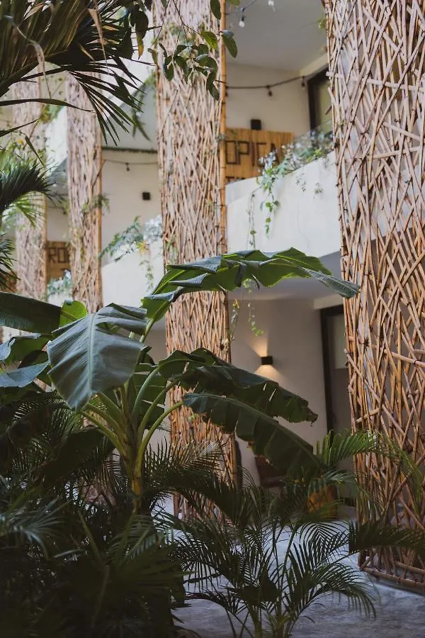 Jade Tulum Hotel 5*,